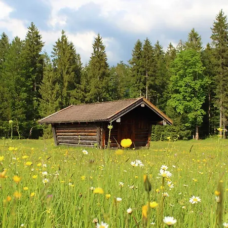 Ferienwohnung Antikstuebchen 公寓